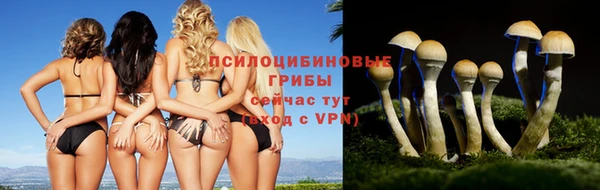 гашишное масло Белокуриха
