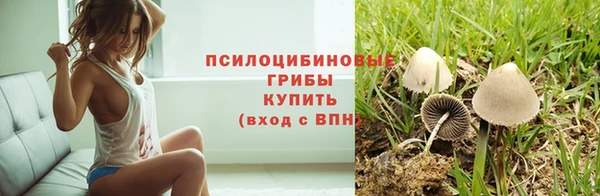 дмт Белоозёрский