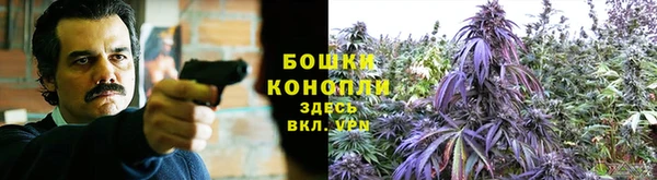 дмт Белоозёрский